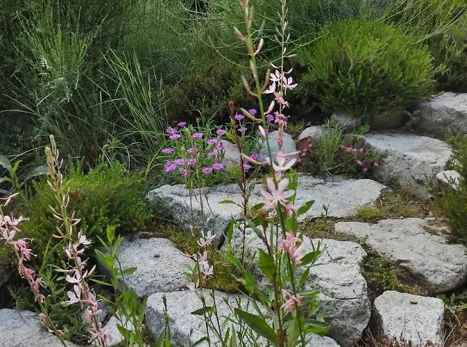 Ines Διαμέρισμα